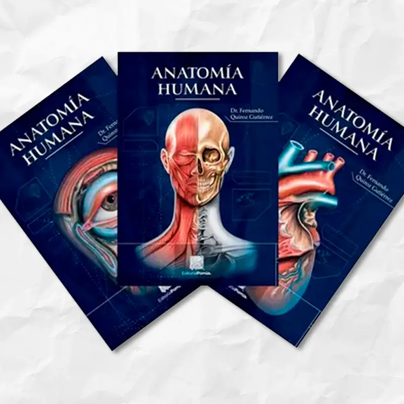 Anatomía Humana. 3 volúmenes. Fernando Quiroz Gutiérrez. Porrúa