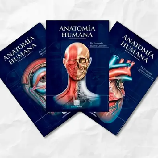 Anatomía Humana. 3 volúmenes. Fernando Quiroz Gutiérrez. Porrúa